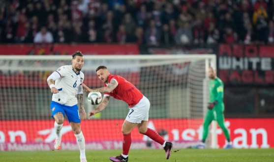 Nemanja Gudelj, en el duelo ante Austria