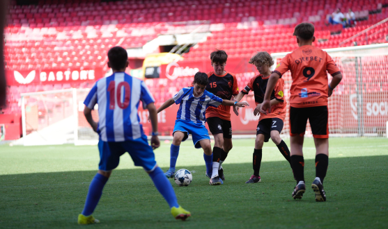 Imagen del torneo ProPlay