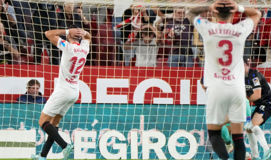 Imagen del Sevilla FC-Real Sociedad Imagen del Sevilla FC-Real Sociedad