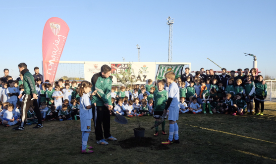 Los representantes de una y otra escuela plantan un olivo 