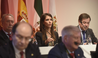 Junta General de Accionistas del Sevilla FC de 2017