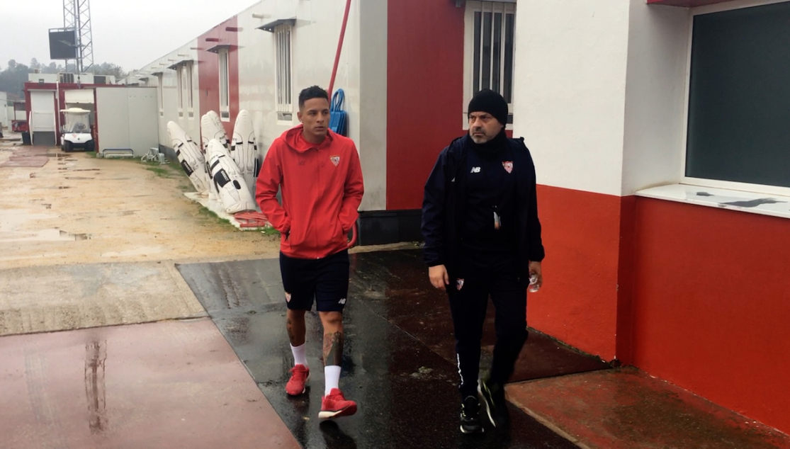 Arana en la ciudad deportiva